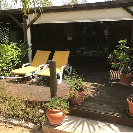 Nina And Paul's Place