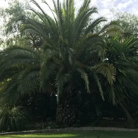 Nina And Paul's Place *